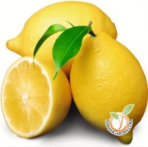 Eureka Australia Lemon / Pokok Lemon Australia (Eureka)